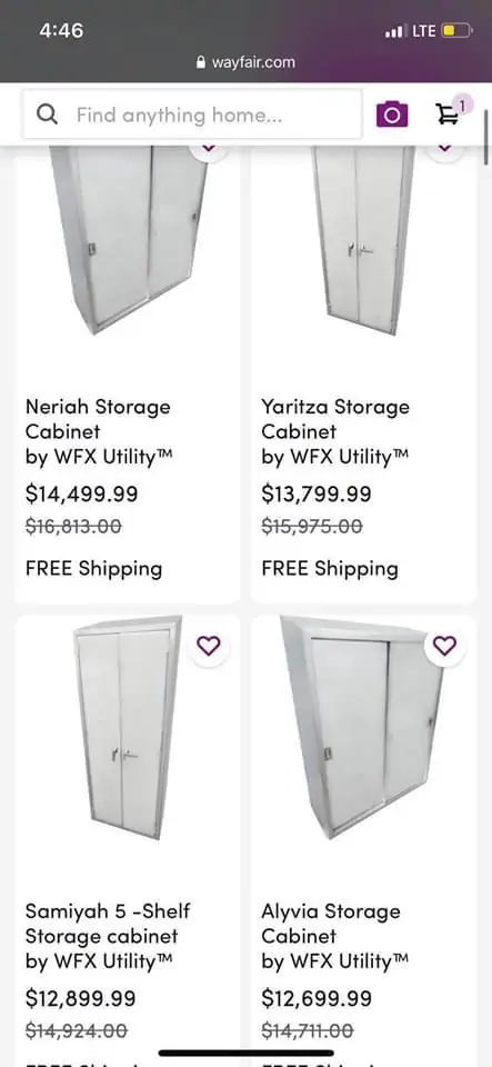 Wayfair Child Trafficking Ring